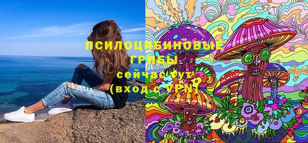 дживик Аркадак