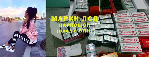 мяу мяу мука Арсеньев