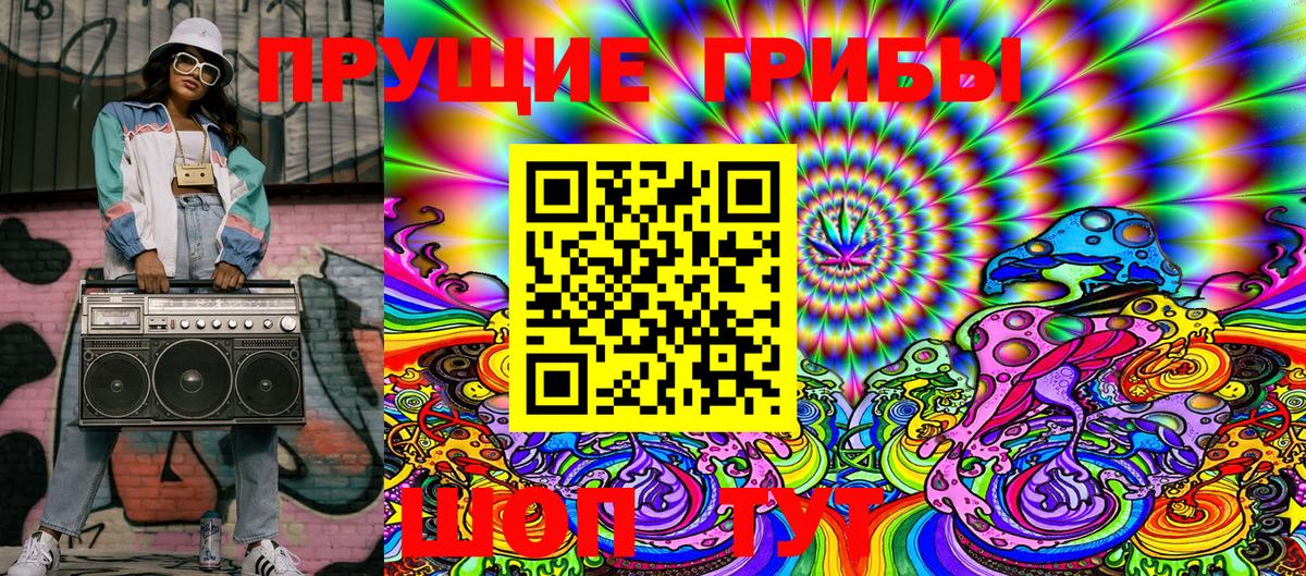 где купить   Ленинск-Кузнецкий  Галлюциногенные грибы прущие грибы 