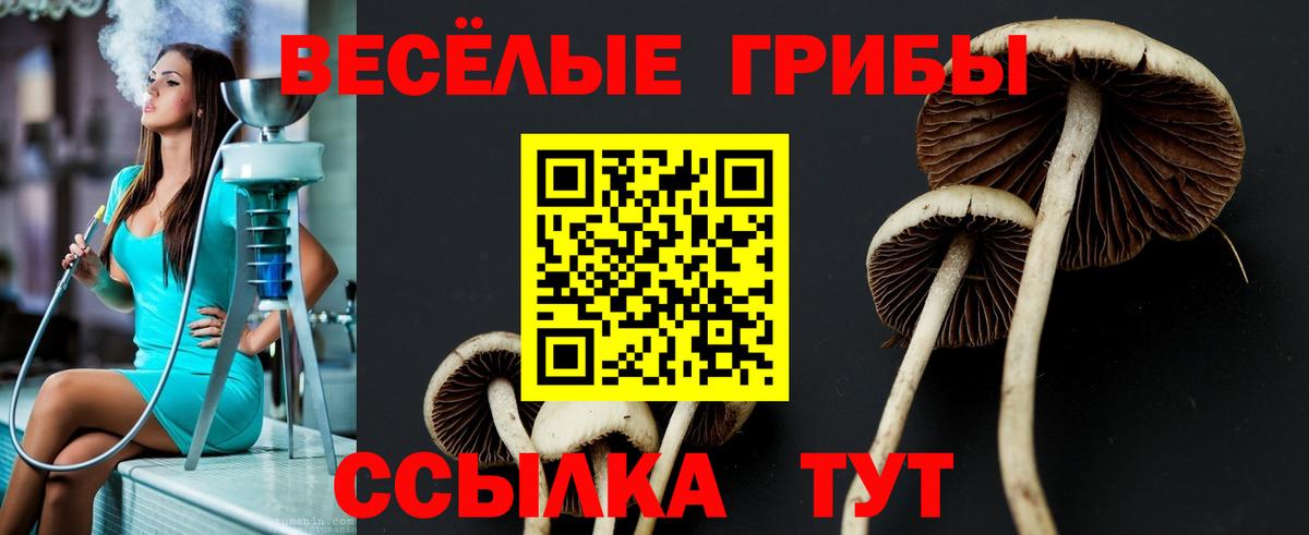 Галлюциногенные грибы Cubensis  Вход с VPN  Ленинск-Кузнецкий  Галлюциногенные грибы MAGIC MUSHROOMS 